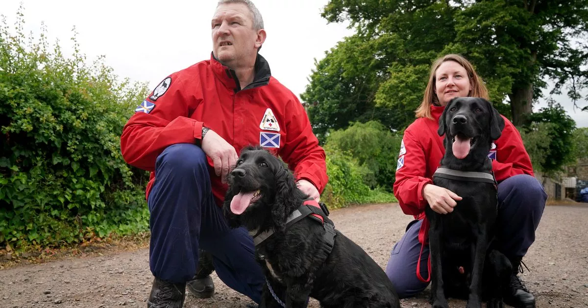 Dog search team steps up training ahead of Ukraine deployment to find bodies