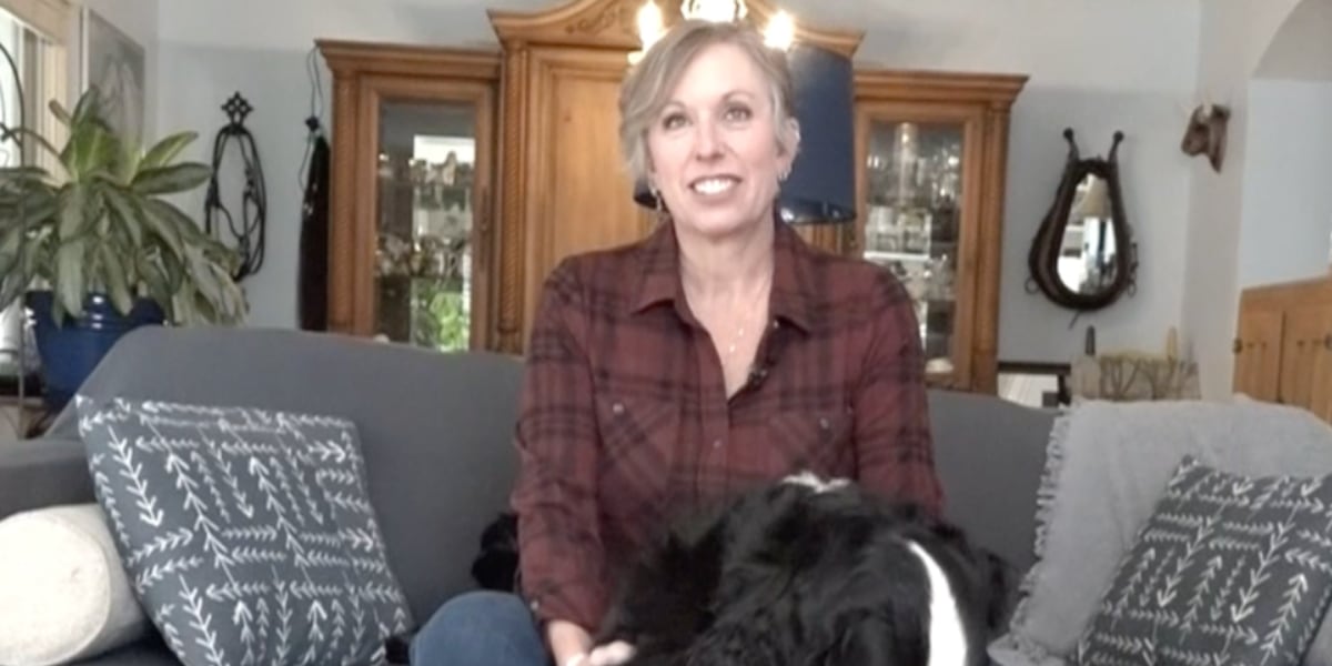 How to introduce a new pet to your family 1 How to introduce a new pet to your family