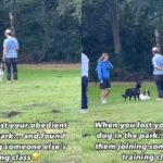 English Springer Spaniel Joins Another Dog’s Training Class