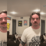 Dog Training to Become a Professional Athlete Doesn’t Turn Out to Be Promising