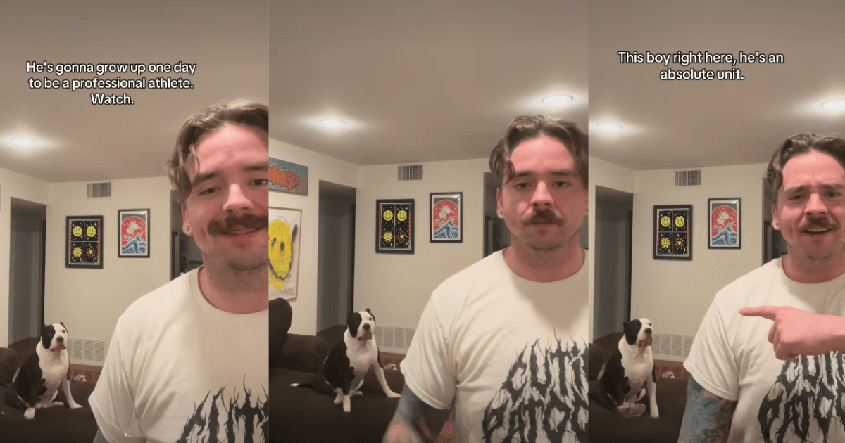 Dog Training to Become a Professional Athlete Doesn't Turn Out to Be Promising