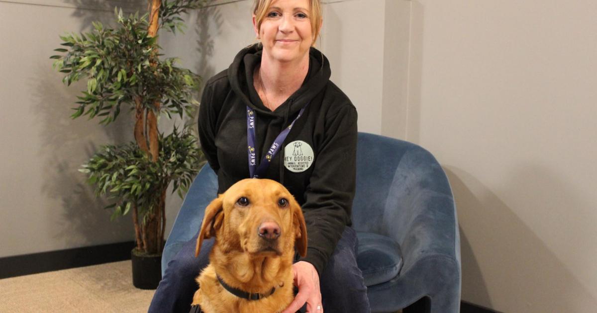 Former gun dog supporting vulnerable people through therapy 1 Former gun dog supporting vulnerable people through therapy