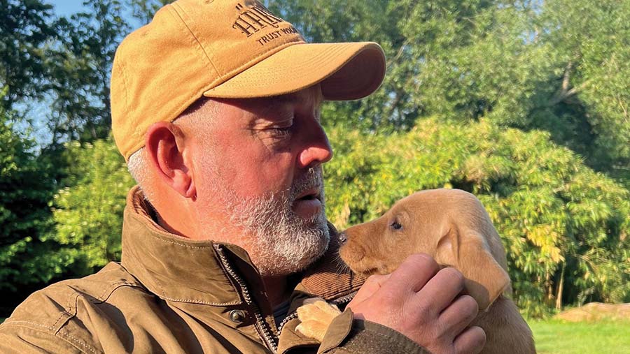 How to train a gundog: Expert shares top tips