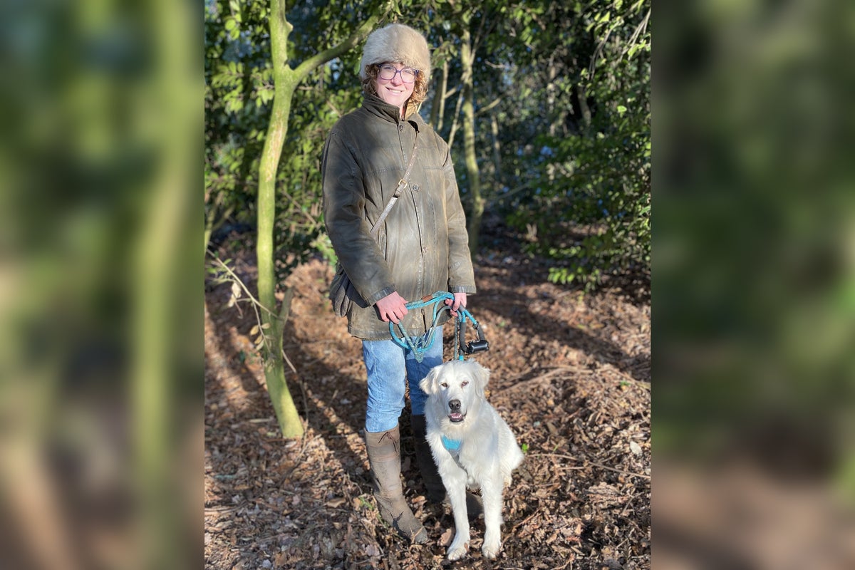 I know the rules that a dog is for life, but both my pets arrived at Christmas