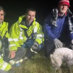 Jurassic Coast cliff rescue for missing spaniel Willow