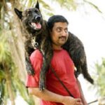 PawSpace Redefines Pet Care Standards with Vetted