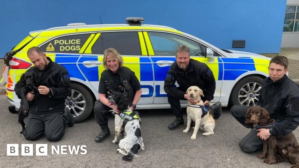 Rescue dogs begin new life with Gloucestershire police