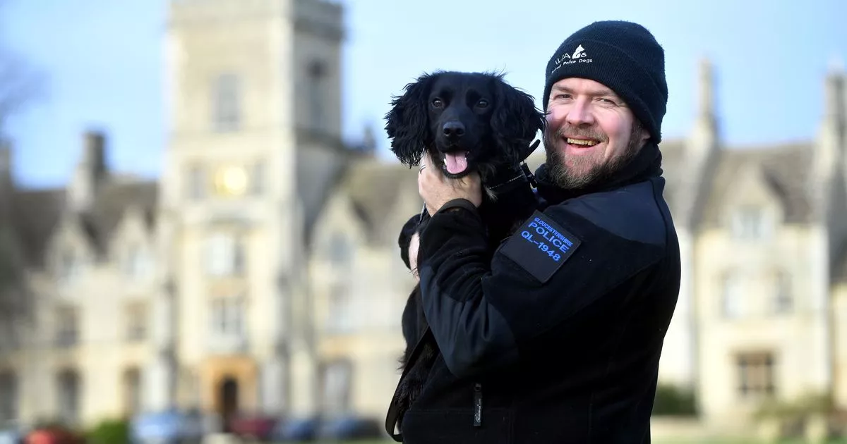 Rescued dogs training as Gloucestershire crime-fighters