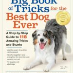The Big Book of Tricks for the Best Dog Ever: A…