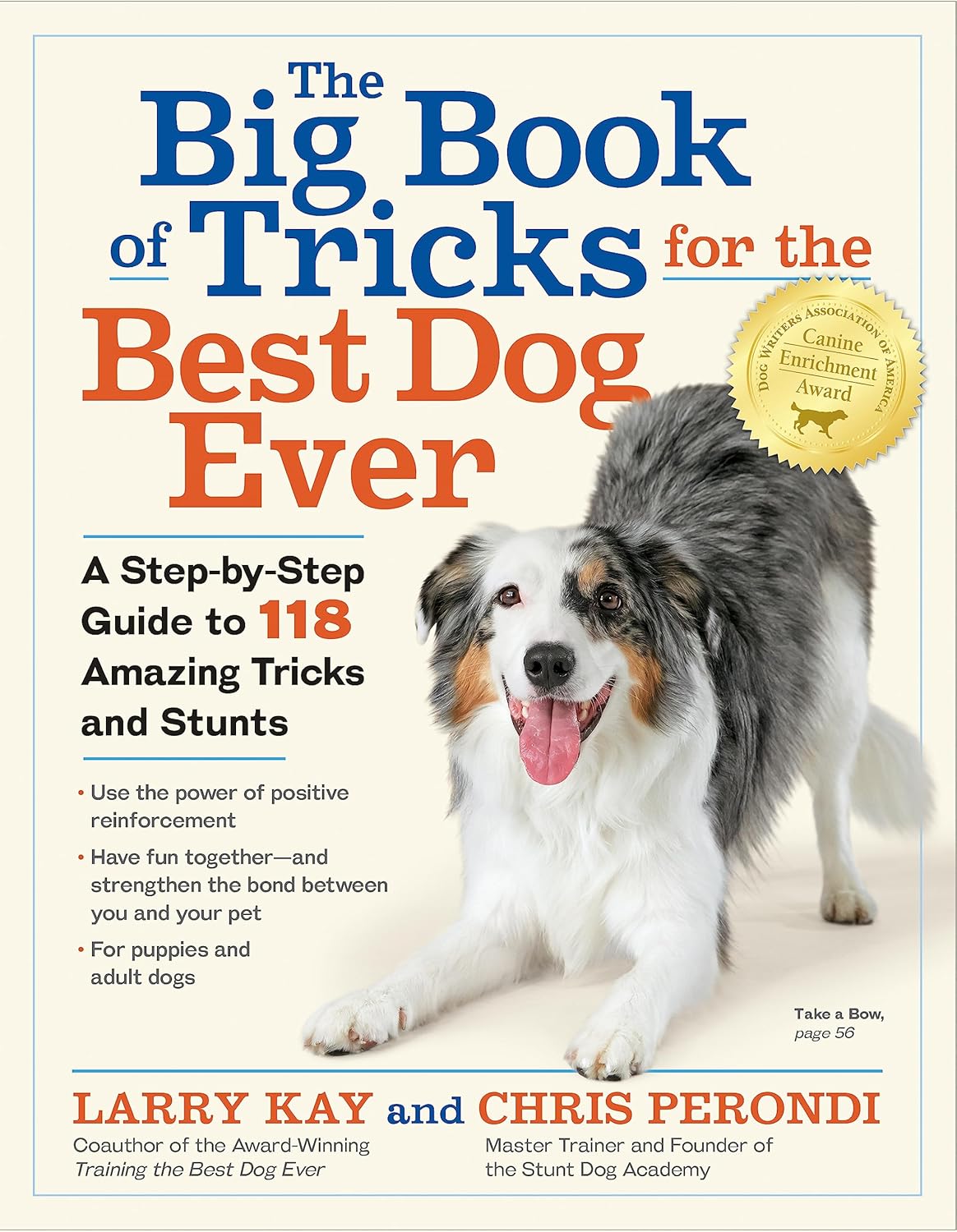 The Big Book of Tricks for the Best Dog Ever: A...