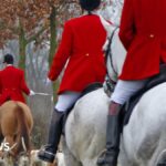 Trail hunting to be banned as part of new animal welfare strategy