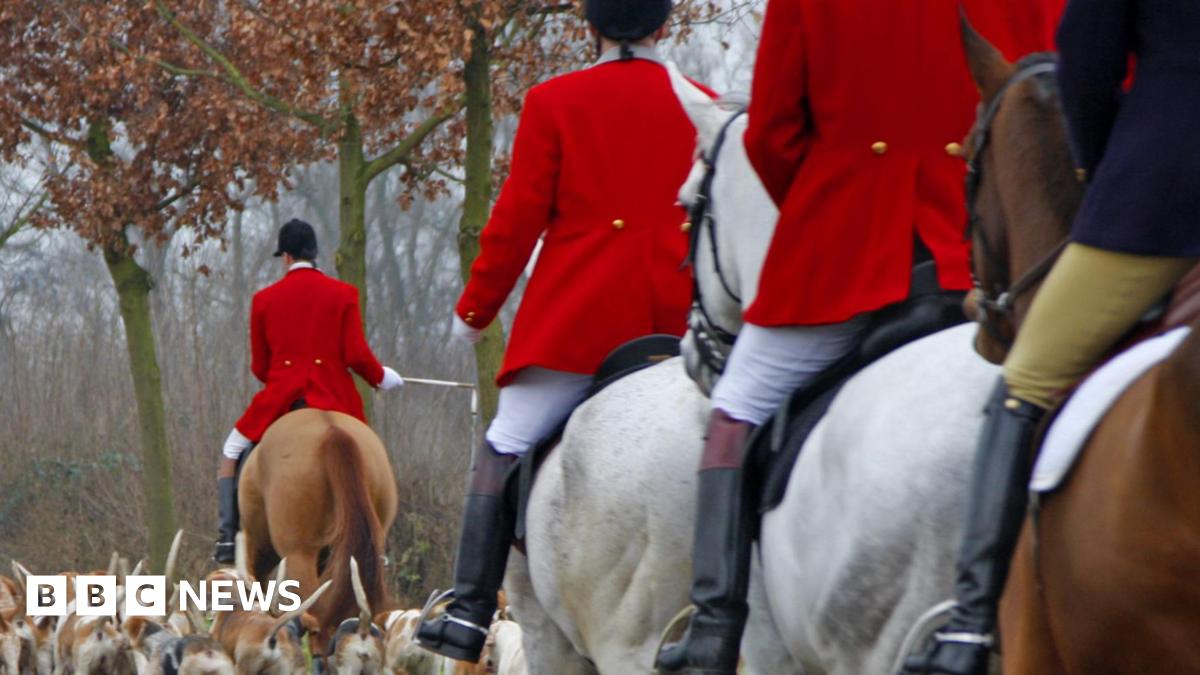 Trail hunting to be banned as part of new animal welfare strategy