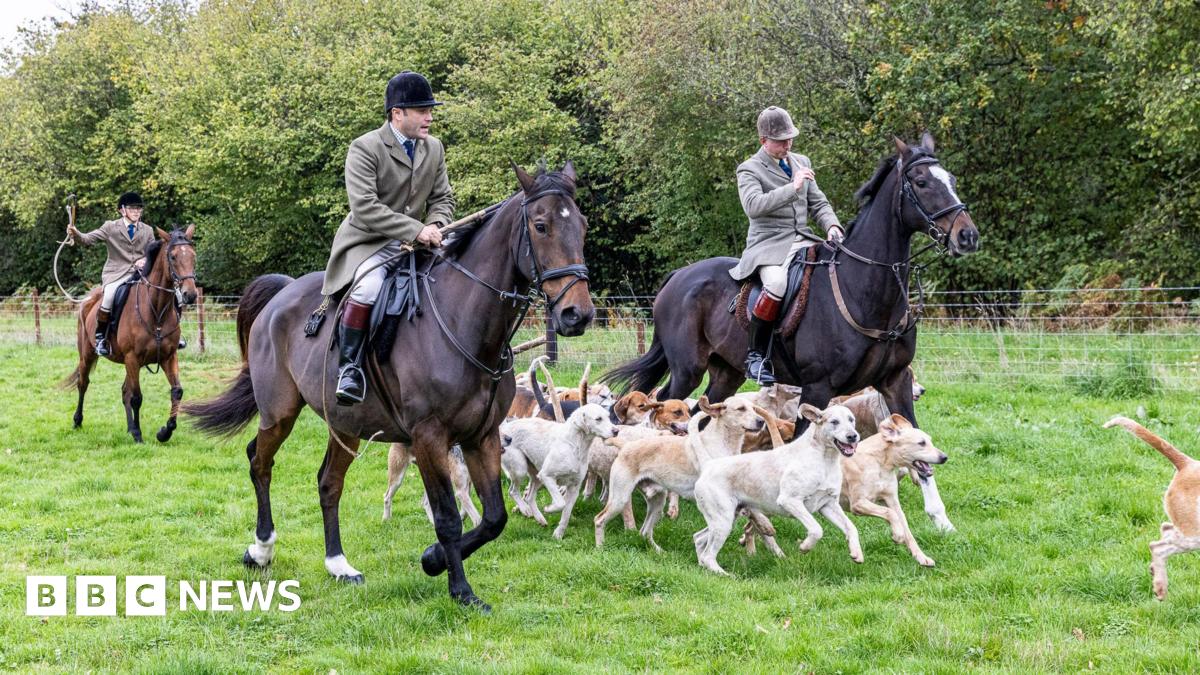 Wiltshire farmer fears hunting ban will worsen social isolation