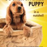 You and Your Cocker Spaniel Puppy in a Nutshell:…