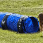 Meet Melissa Thomas – CanvasRebel Magazine