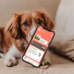 Is This Dog Training App Worth It?