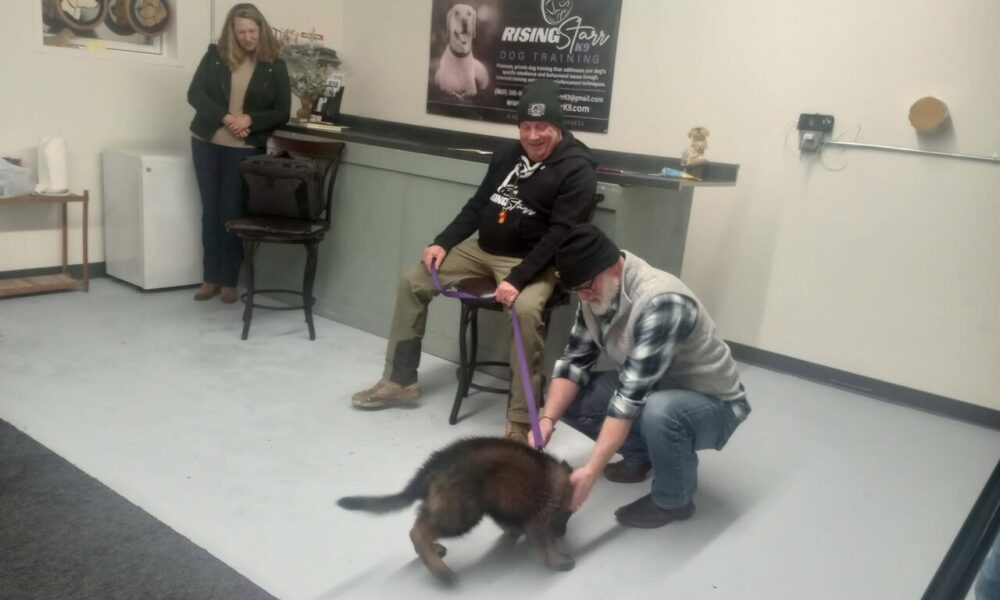 Rep. Van Orden attends dog-training class, to show support of veteran-owned businesses