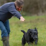 train your dog to come back when called