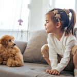 What to Do If Your Dog Is Scared of Children—Steps to Take · Kinship