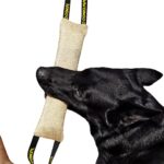 DINGO Jute Tug Toy Strong 2 Handles Pull Rope for…