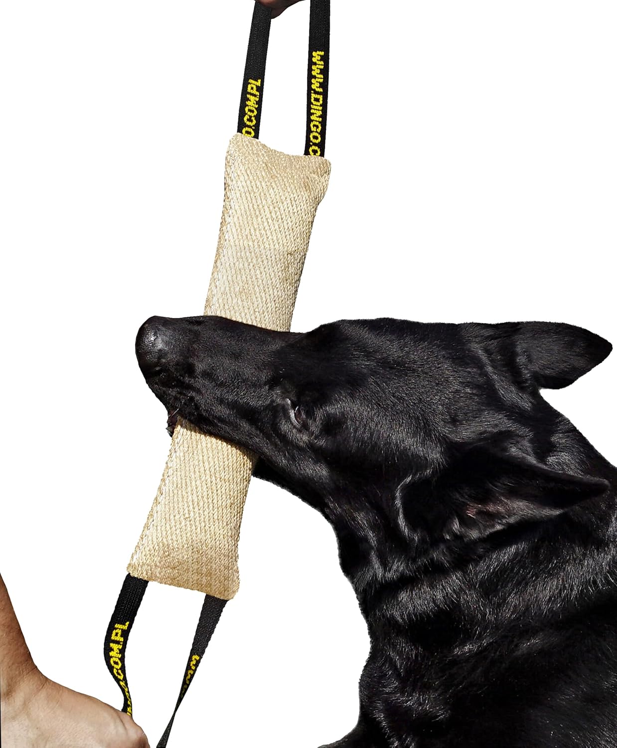 DINGO Jute Tug Toy Strong 2 Handles Pull Rope for...