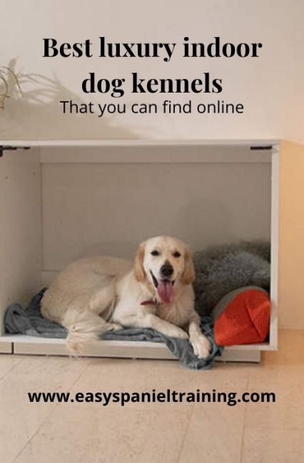 Best luxury indoor dog kennels Best luxury indoor dog kennels