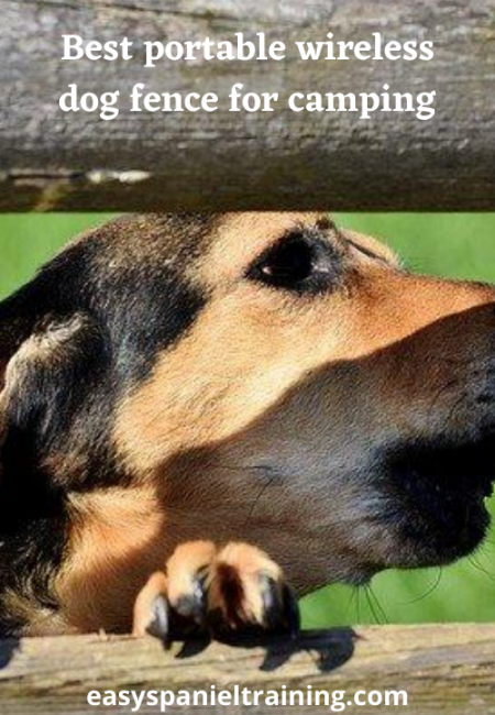 Best portable wireless dog fence for camping best portable wireless dog fence for camping