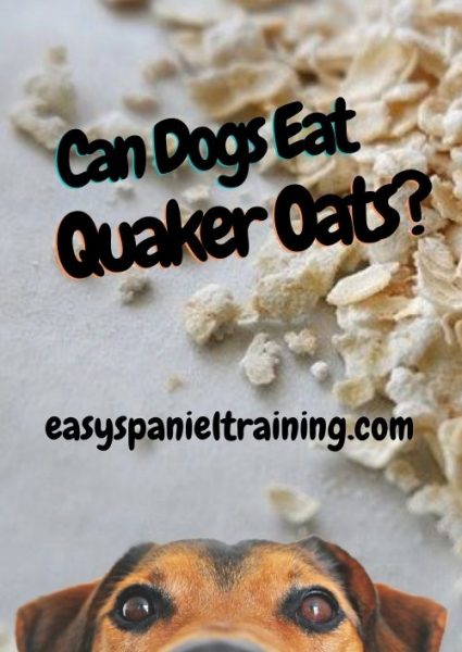 Can dogs eat Quaker Oats_