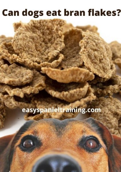 Can dogs eat bran flakes_ Can dogs eat bran flakes_