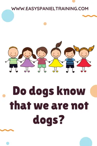 Do dogs know that we are not dogs_