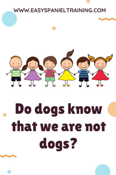 Do dogs know that we are not dogs_ Do dogs know that we are not dogs_