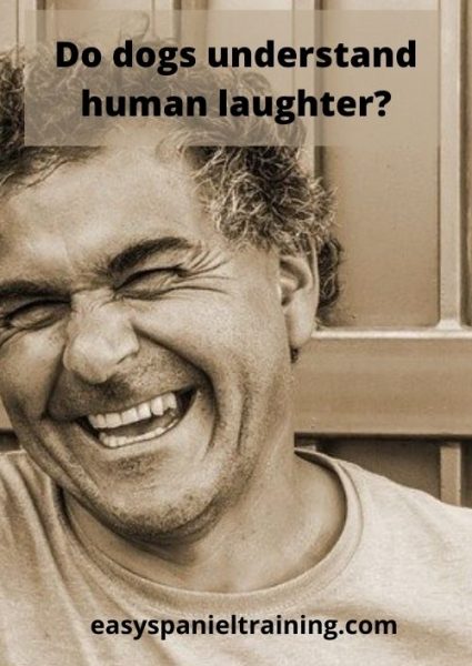Do dogs understand human laughter Do dogs understand human laughter