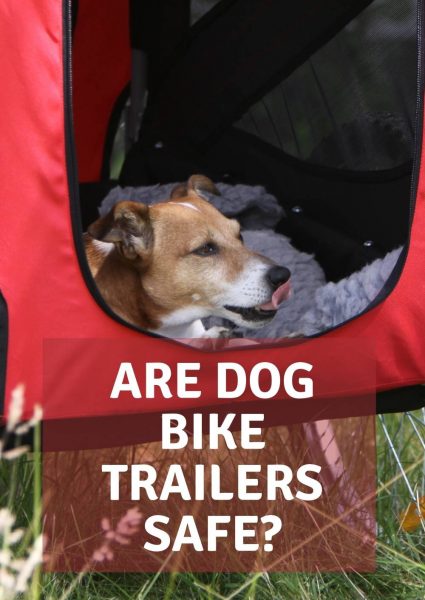 are dog bike trailers safe