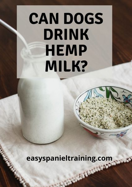 can dogs drink hemp milk_ can dogs drink hemp milk