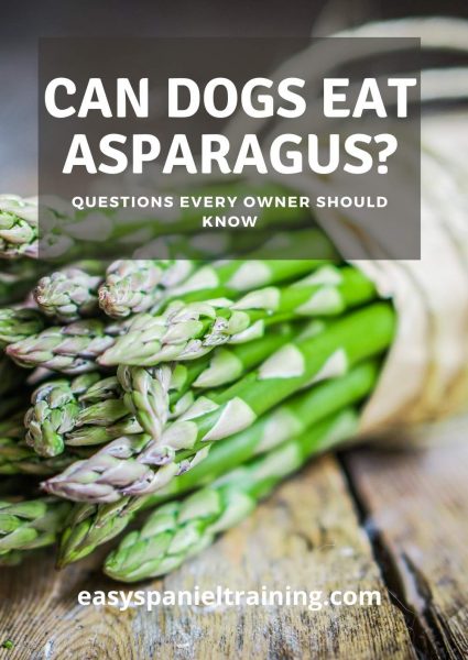 can dogs eat asparagus can dogs eat asparagus
