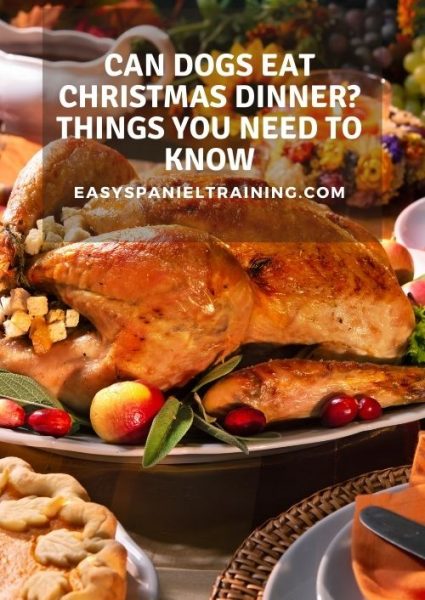 can dogs eat christmas dinner_ things you need to know cna dogs eat christmas dinner