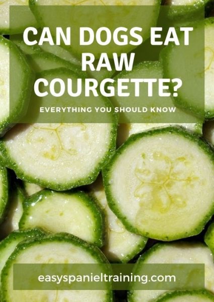 can dogs eat raw courgette can dogs eat raw courgette
