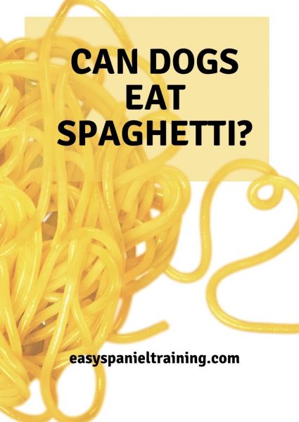can dogs eat spaghetti can dogs eat spaghetti