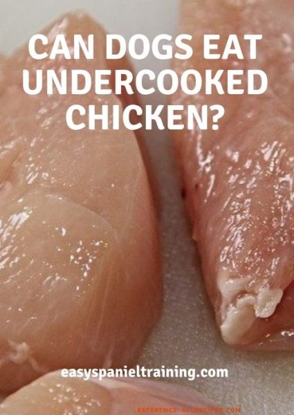 can dogs eat undercooked chicken_