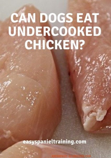 can dogs eat undercooked chicken_ can dogs eat undercooked chicken_