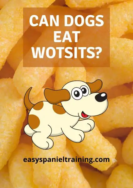 can dogs eat wotsits