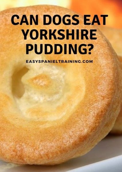can dogs eat yorkshire pudding can dogs eat yorkshire pudding