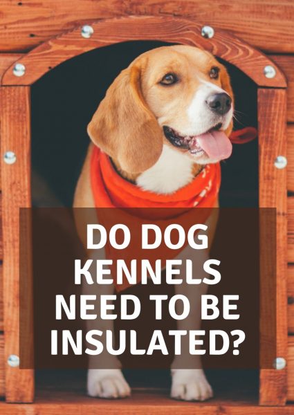 do dog kennels need to be insulated do dog kennels need to be insulated
