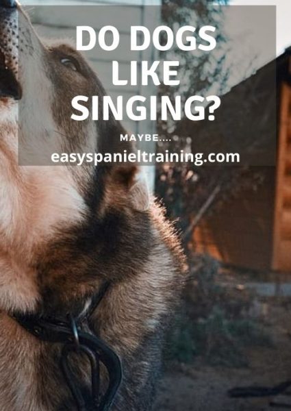 do dogs like singing