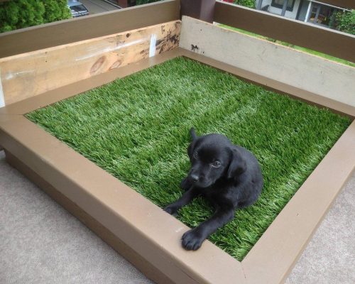 how to make a patio dog friendly