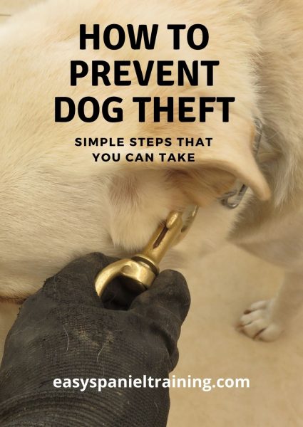 how to prevent dog theft