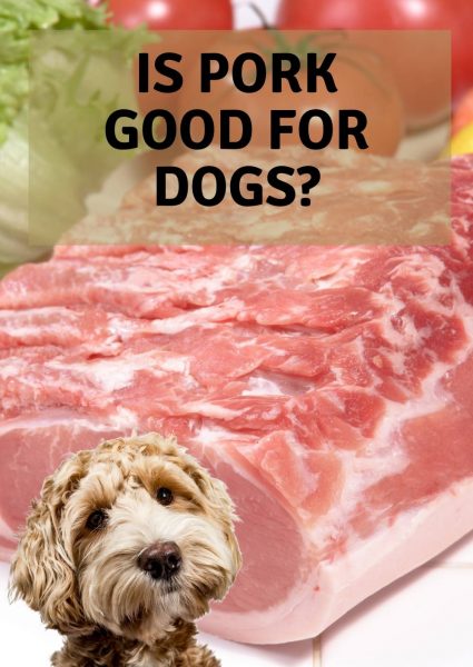 is pork good for dogs