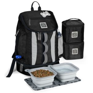 overland1 spaniel camping