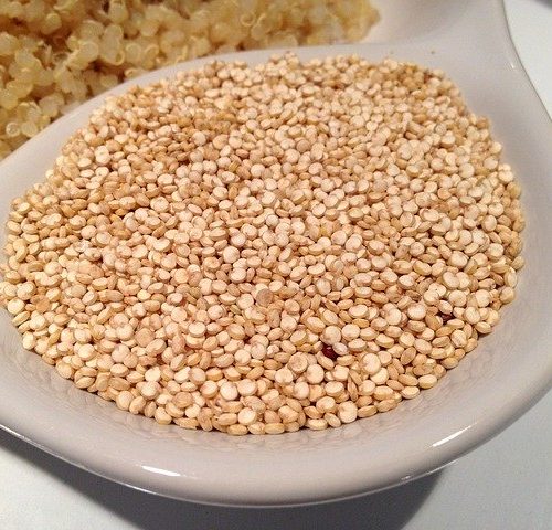 can cocker spaniels eat quinoa