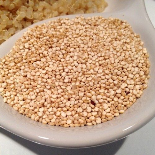 can cocker spaniels eat quinoa